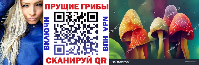 Галлюциногенные грибы прущие грибы  хочу наркоту  kraken как войти  Ветлуга 